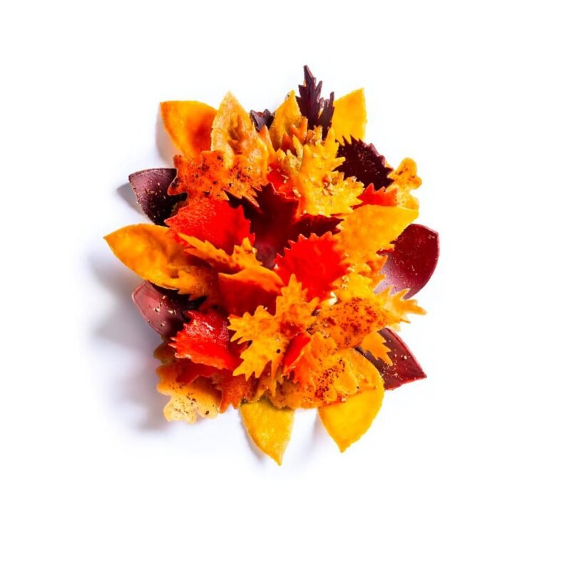 WhatsApp Image 2025 07 16 at 5.58.34 PM (1)