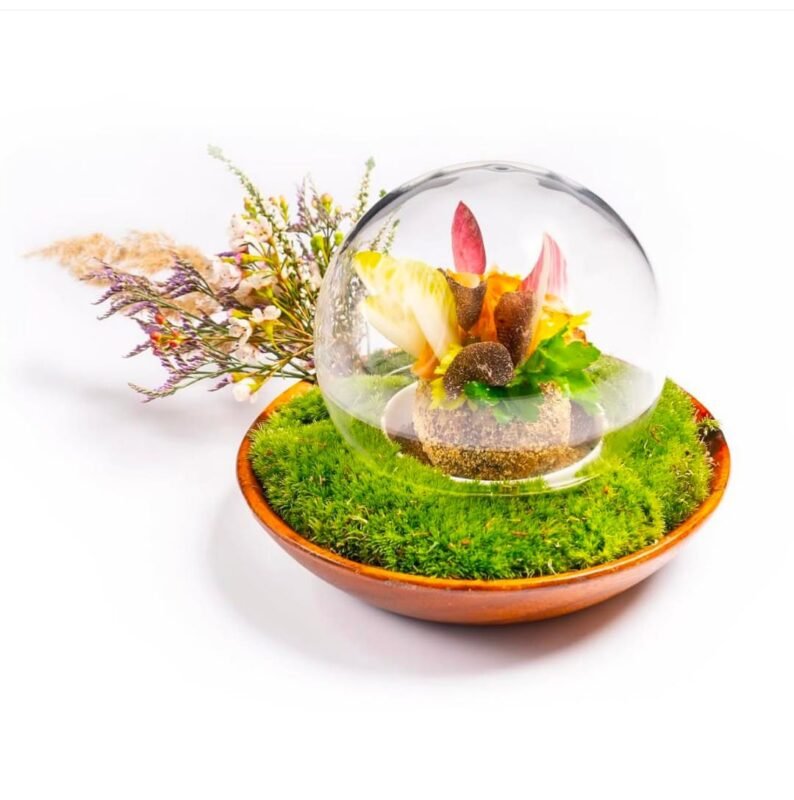 WhatsApp Image 2025 07 16 at 5.58.37 PM (3)